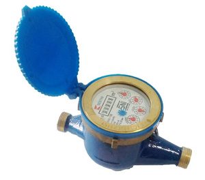 Bestini 300x264 * Water Meter / Flow Meter